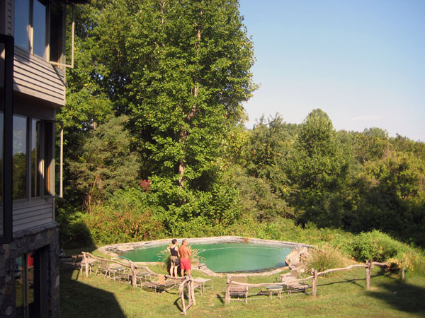 Pool and forest in the back of the house.