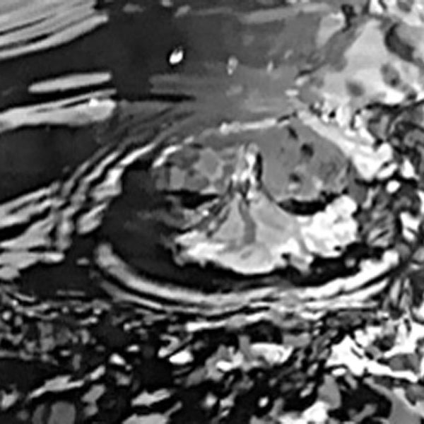 Image of drops falling in water with ripples